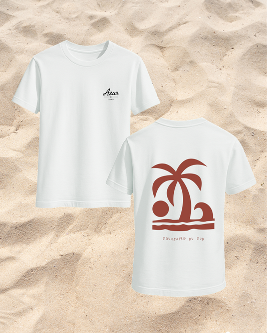 Souvenirs du sud